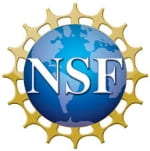 N S F logo